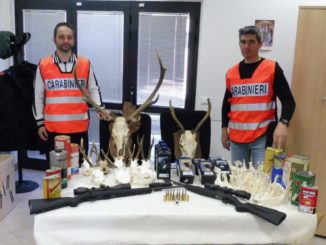 Sparavano alla selvaggina dal fuoristrada denunciati due bracconieri 