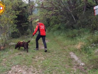 Uomo di 79 anni si perde mentre cerca asparagi, recuperato dal Sasu