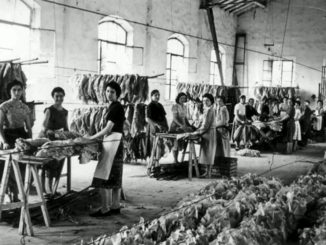 I racconti , ex tabacchificio di Perugia,le tabacchine, la filovia e la storia di Marina