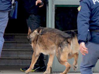 Scuole Sicure, protocolli contro la droga e contro truffe anziani
