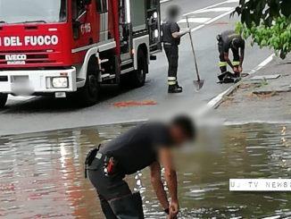 Maltempo in Umbria e a Perugia, allagamenti, superlavoro per i Vigili del fuoco