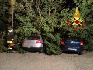 Rami caduti su delle macchine parcheggiate, è successo a Foligno