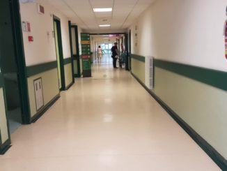 Uomo punto da un calabrone Fratticciola Selvatica, è in prognosi riservata