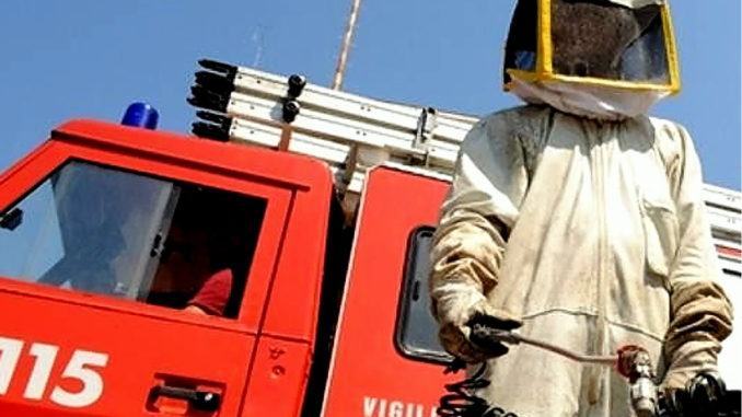 Vespe calabroni e api avranno vita dura, ora ci sono i Vigli del fuoco