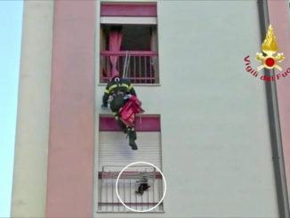 Gattino precipita dal sesto piano, stendino e vigili del fuoco lo salvano