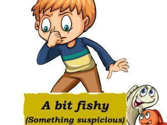 Il pesce puzza, la gente si arrabbia e Fiorini vuol vederci chiaro, a Terni in via Mercurio