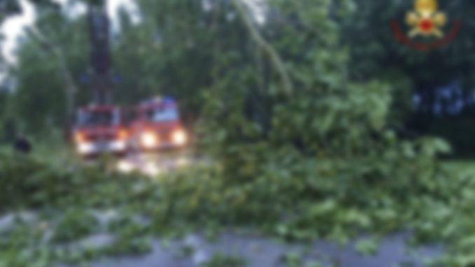 Violento temporale in Umbria, albero si schianta su auto