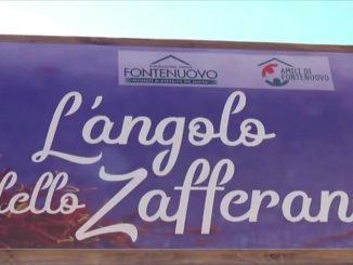 Per San Lorenzo a Fontenuovo si pianta lo zafferano