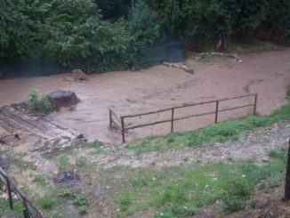 Coldiretti Umbria, terreni sott’acqua, strade e stalle allagate