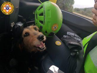 Cane infortunato sul Monte La Croce, salvato dal Soccorso Alpino