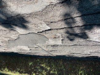Strada dei Conservoni a Perugia, risposta ad interrogazione