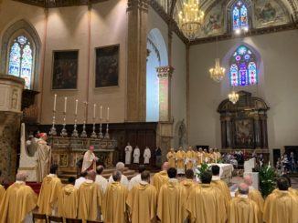 Celebrata la festa della Madonna delle Grazie in cattedrale