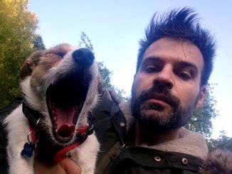 Ritrovato Cody, il bastardino di Jack Russell, era incastrato nel bosco