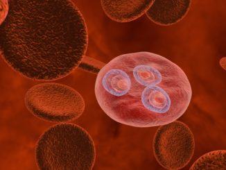 Malaria in Umbria, bimba africana di 6 anni ricoverata a Perugia