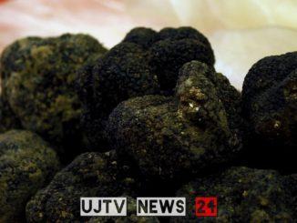 A Trevi giornate dedicate al tartufo. Il Complesso Museale di San Francesco di Trevi e Menti Associate dedicano la giornata