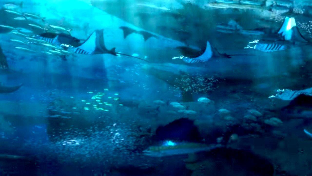 Stanno Arrivando In Umbria I Figli Del Mare 5 Lunghi Anni Di Lavoro