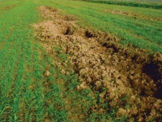 Covid Umbria, il mondo agricolo non urla, ma vive di incertezza