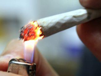 Cannabis Comunità Incontro, sentenza depenalizza materialmente e moralmente
