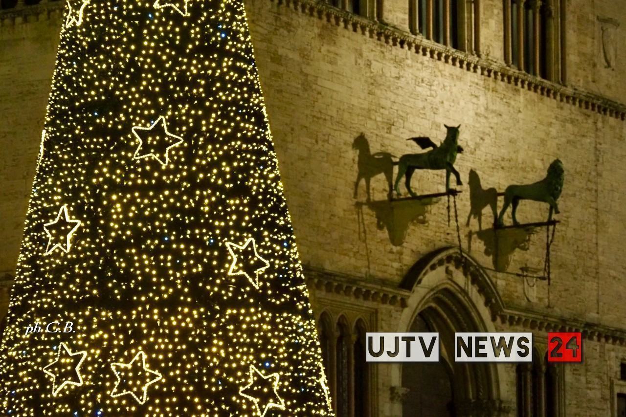 Natale Perugia, montato l'albero in piazza IV Novembre, presto l'accensione
