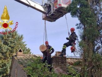 Albero pericolante sopra abitazione a Magione segato e rimosso