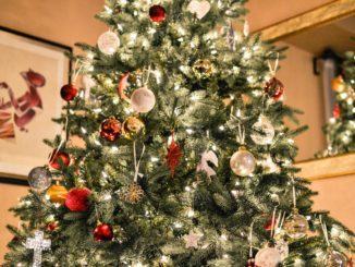 Festività ecologiche cinque regole per un albero di Natale sostenibile