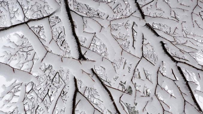 Meteo Italia, attenzione, possibile svolta invernale con ondata di gelo in arrivo [Video]