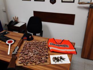 Cacciatore uccide fringuelli