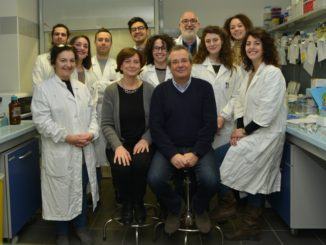 Proteina p53 e sviluppo tumori, studio scopre nuovo meccanismo molecolare
