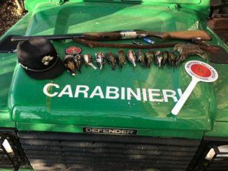 Uccide fringuelli e frosone, ma sono specie protetta, cacciatore denunciato