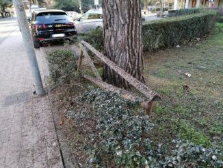 ...il guano degli uccelli a Ponte San Giovanni e non solo