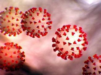 Infezione coronavirus Regione Umbria, c'è il numero verde 800 63 63 63