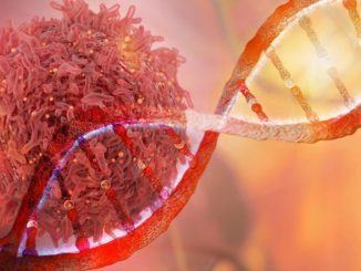 ViCoronavirus, un caso anche a Gubbio, situazione sottocontrollo