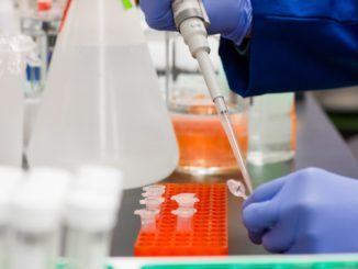 Coronavirus, al via da oggi in Umbria i test rapidi per covid-19