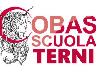 Convocazioni collegi docenti e OOCC in modalità telematica, duri i Cobas