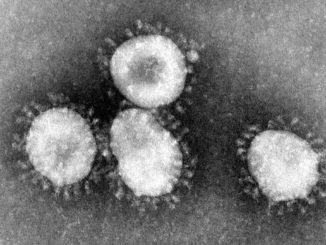 Covid, variante Omicron 5 anche in Umbria, individuata in tre campioni
