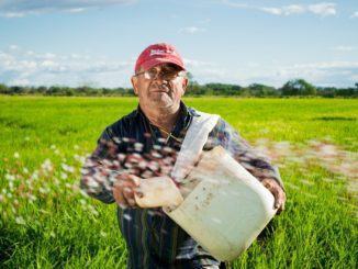 Manodopera agricola, agevolare assunzioni con piattaforme telematiche