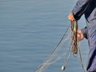 Imprese agricole e pesca, Ok sblocco 100 milioni nazionali, ma si faccia in fretta