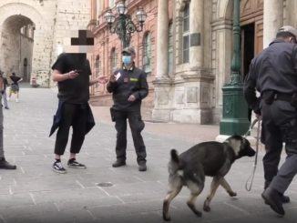 Operazione antidroga della polizia e finanza, 4 stranieri bloccati, 2 espulsi