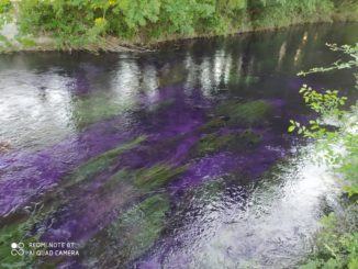 Incendio cartiera Trevi, il Clitunno si colora di viola, ma nessun problema ambientale