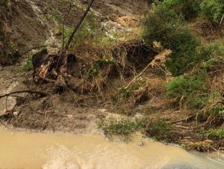Maltempo ad Avigliano, campi allagati, danni a colture e strutture, frane e smottamenti