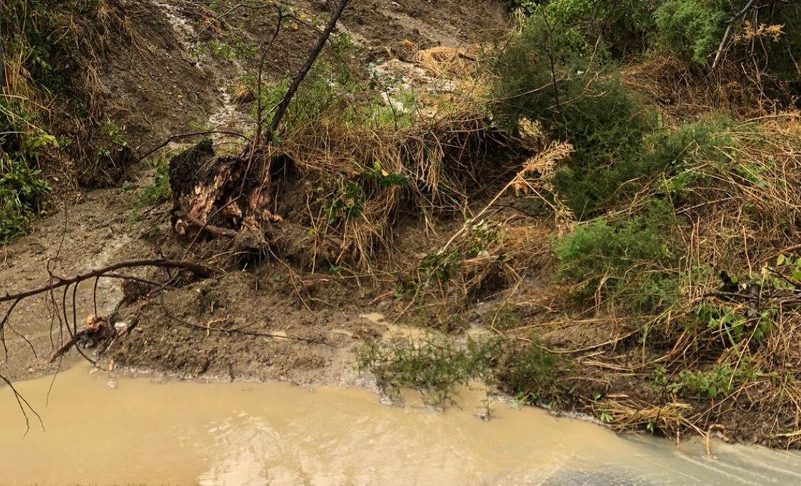 Maltempo ad Avigliano, campi allagati, danni a colture e strutture, frane e smottamenti