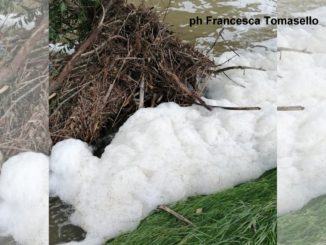 Schiuma sospetta sul fiume Chiascio, tra Petrignano e Bastia, indaga l'Arpa
