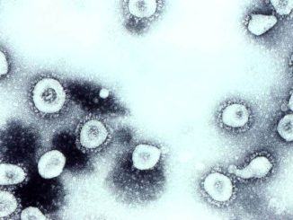 Casi di coronavirus, cresce di 6 valori il numero dei positivi nell'ultima settimana