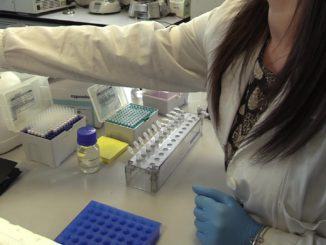 Sanità scatta l'allarme di Federfarma: mancano i vaccini contro influenza
