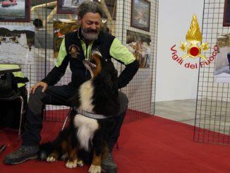 Addio a Kreole, il cane eroe dei Vigili del Fuoco, da Amatrice al Ponte Morandi