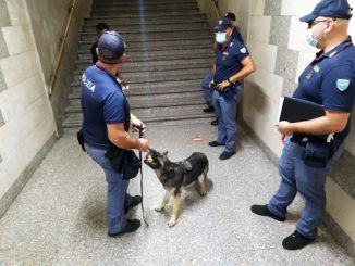 Prevenzione furti in appartamento, allontanati tre stranieri, intensificati controlli in vista del Ferragosto