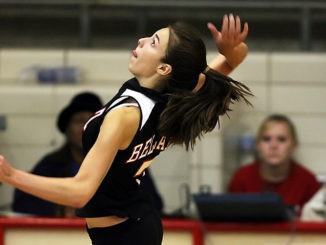 Federazione Italiana Pallavolo pronti gironi B maschile, B1 e B2 femminile