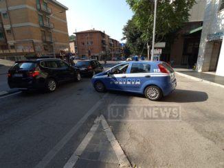 Due piante di marijuana trovate in un appartamento di Fontivegge