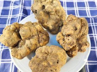 Tartufo, attivato il bando per la costituzione della filiera umbra