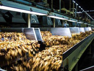 Deltafina: tra Umbria e Campania misure anti-covid per la tutela degli oltre 400 dipendenti